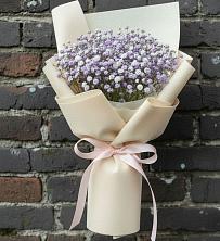 Букет цветов из:  Гипсофила в Тонкино