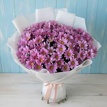 Букет цветов из:  Хризантемы в Тонкино