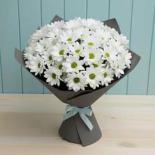 Букет цветов из:  Хризантемы #REPLACE_PRED# Тонкино