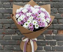 Букет цветов из:  Хризантемы #REPLACE_PRED# Тонкино