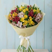 Букет цветов из:  Альстромерии в Тонкино