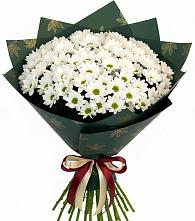 Букет цветов из:  Хризантемы #REPLACE_PRED# Тонкино