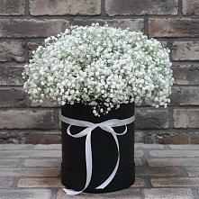 Цветочная композиция из Гипсофила в шляпной коробке #REPLACE_PRED# Тонкино