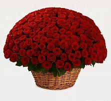 Премиум букет из: Розы #REPLACE_PRED# Тонкино